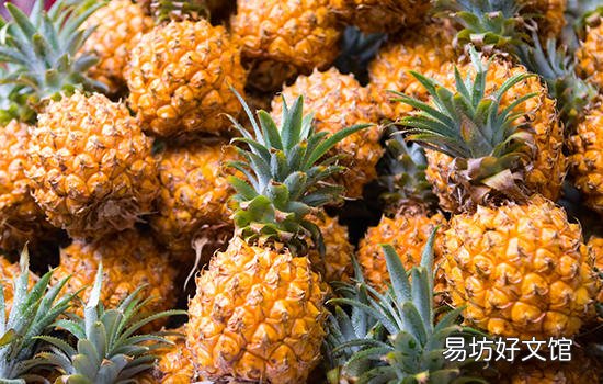 普洱有哪些特色水果 云南普洱特产