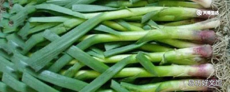 新鲜蒜苗怎么长期保存 新鲜蒜苗保存方法