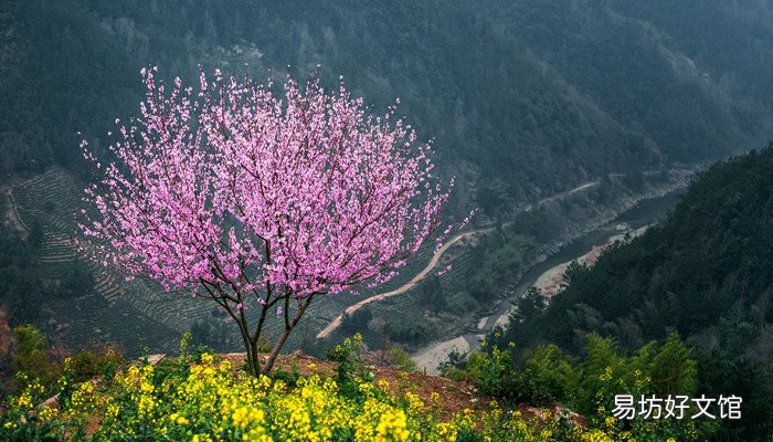 桃花潭在哪个省份 桃花潭在什么省份