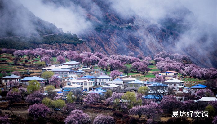 桃花潭在哪个省份 桃花潭在什么省份