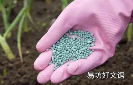 买花送的肥料可以用吗