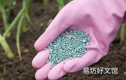 复合肥烧根怎么治