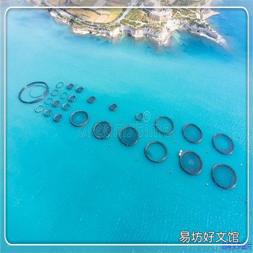 长安铃木汽车价格表 铃木4s店