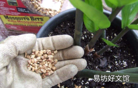 植物烂根后的土壤还能用吗