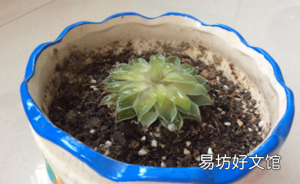 植物烂根后的土壤还能用吗