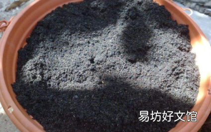 栽花的土壤怎样消毒