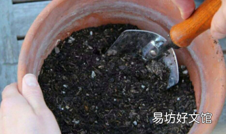 栽花的土壤怎样消毒