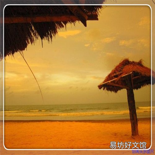 金晨内涵杨紫 李沁魏大勋
