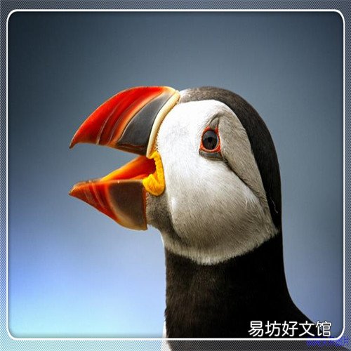 日照大学城兼职 日照大学城