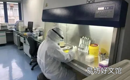 2022春節(jié)后回武漢要提供48h核酸證明嗎