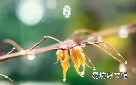 白露是几月份的节气2022
