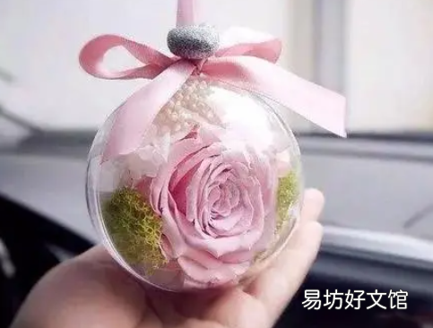 闺蜜生日送永生花可以吗