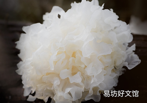 白木耳泡8个小时可以吃吗