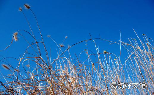 今年秋老虎哪天开始哪天结束
