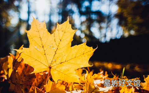 2021年秋天什么时候开始冷