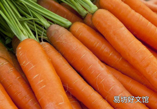 几月份种植胡萝卜最好