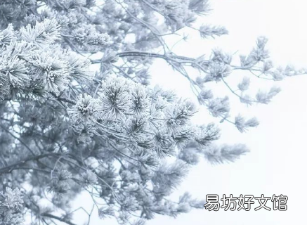东北冬天天天下雪吗2022