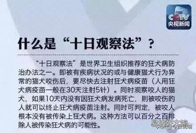 被猫抓了要打针吗(被猫抓了用不用打针)