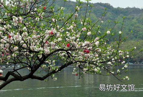 2022年立春后会发生倒春寒吗