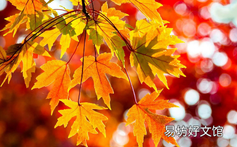 2021的秋天冷吗