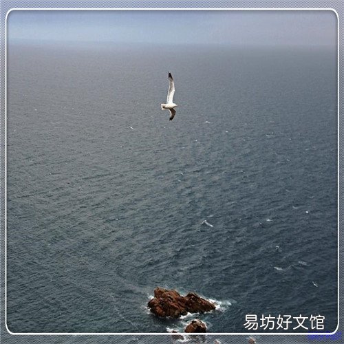 古诗欣赏PPT 山行ppt