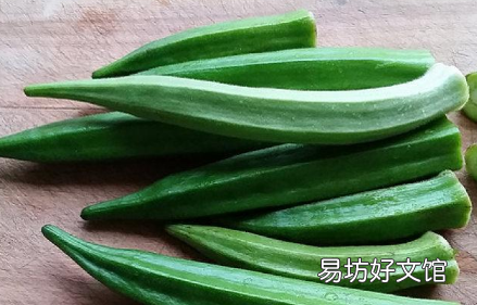 秋葵的种植时间怎么把握