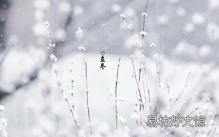 立冬未有霜冬天会冷吗