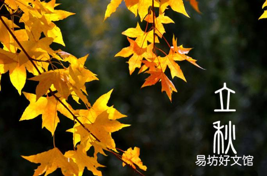 立秋后雨水多代表什么
