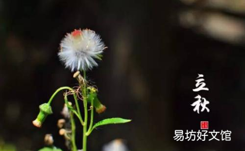 立秋后雨水多代表什么