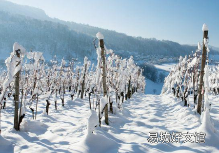 2021年寒潮什么时候结束