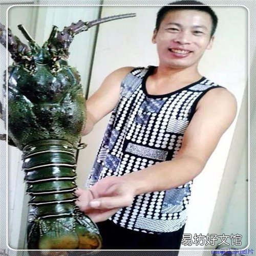 新北洋标签打印机官网 佳能扫描仪