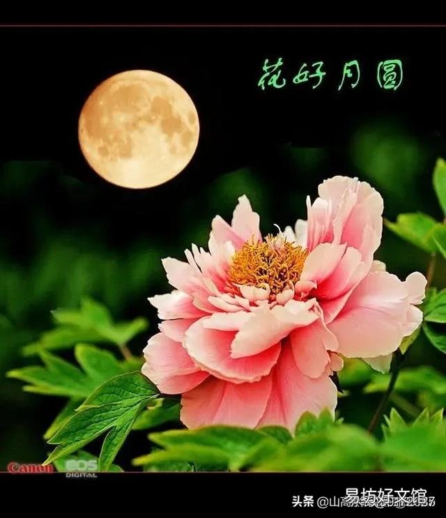 河南的第二城是哪里?