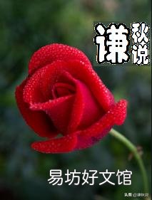 中国股市低迷,市场资金不足,但新股还在拼命发行,这是为什么?