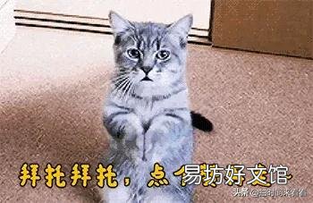 现在买房都是不是喜欢别墅?如果100万块钱一套别墅,你愿意卖掉现在的套房换别墅吗?