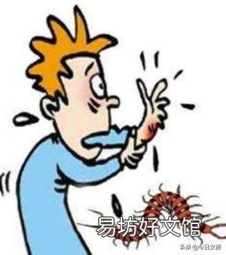 蜈蚣进家里怎么处理 家里有蜈蚣怎么办