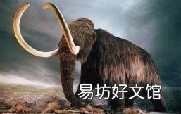 牙膏如何正确清洗象牙 象牙怎么保养