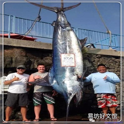 龙珠超第二季全集 龙珠第二部