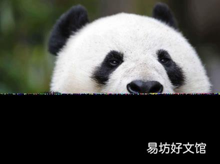 大熊貓的天敵是誰 熊貓怎么叫