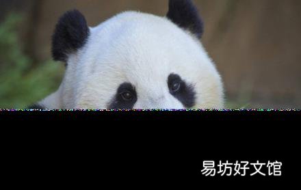大熊貓的天敵是誰 熊貓怎么叫