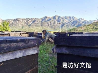 鉴别真假蜂蜜的几种简单方法 蜂蜜怎么辨别真假