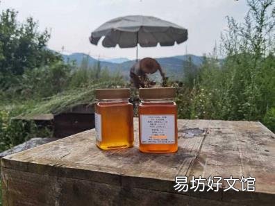 鉴别真假蜂蜜的几种简单方法 蜂蜜怎么辨别真假