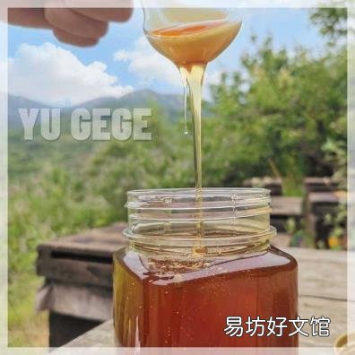 鉴别真假蜂蜜的几种简单方法 蜂蜜怎么辨别真假