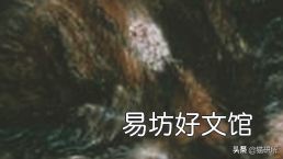 猫癣症状及图片大全(猫癣症状早期图片)