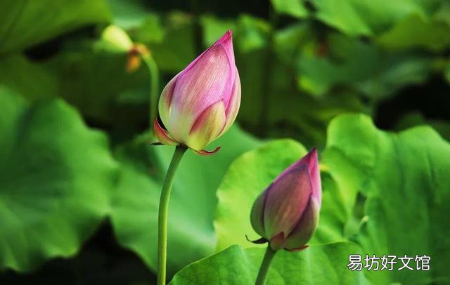 男方月收入七千,家里两套房子,这样的条件在三线城市能嫁吗?