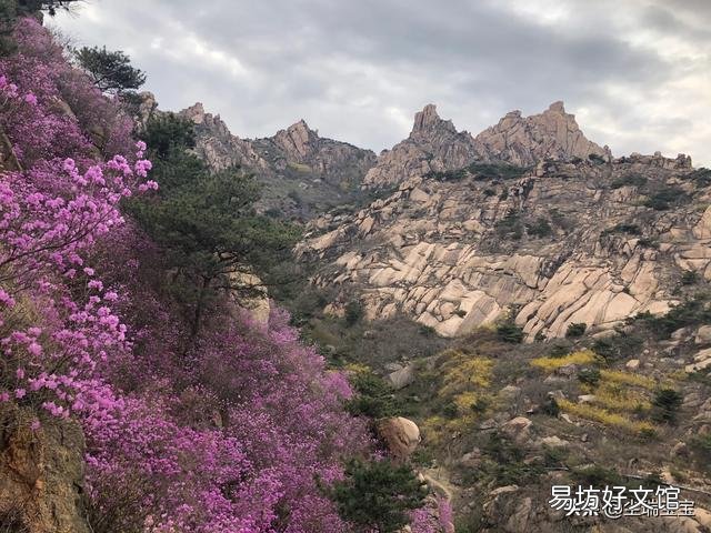 五一假期跟朋友约好去青岛,那边能去吗?有何依据?