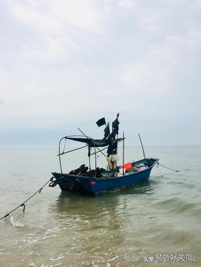 各位老铁,中国海边城市海滩,海水和海景分别哪里最好?