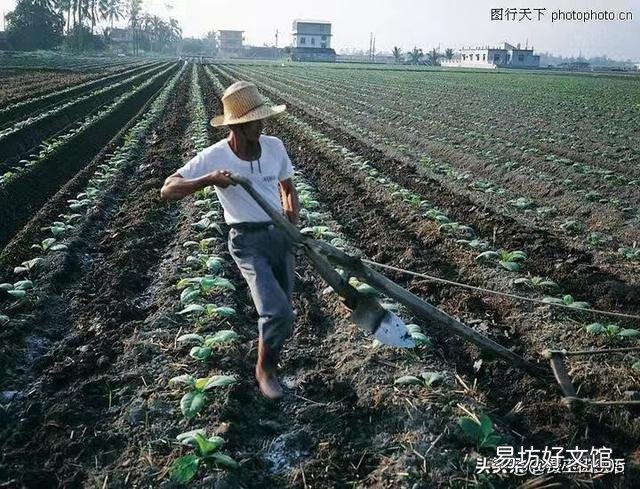 火车硬座和卧铺相差仅一百元，为什么会有那么多人选择硬座？