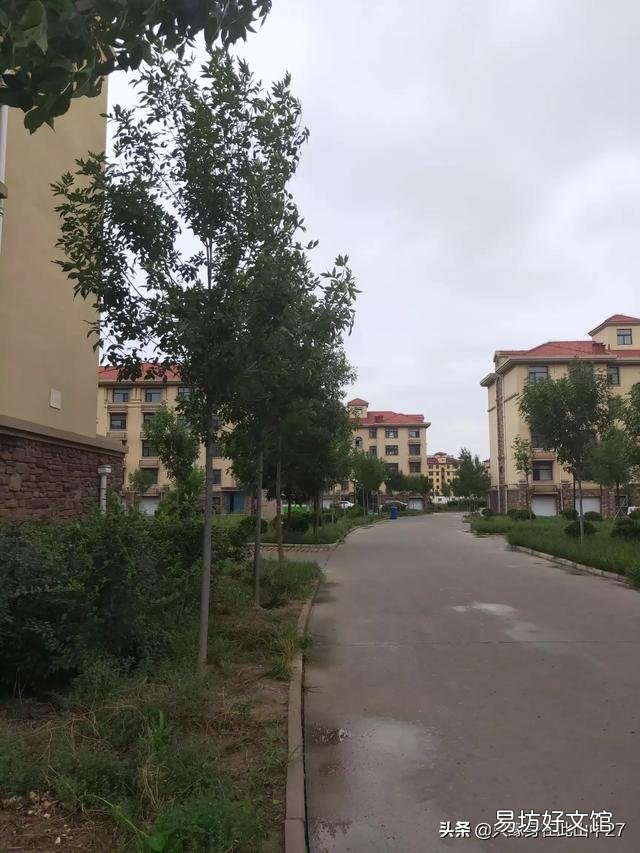 山东哪里的房价最便宜？