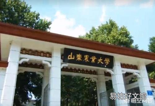山东省的大学排名是怎样的?