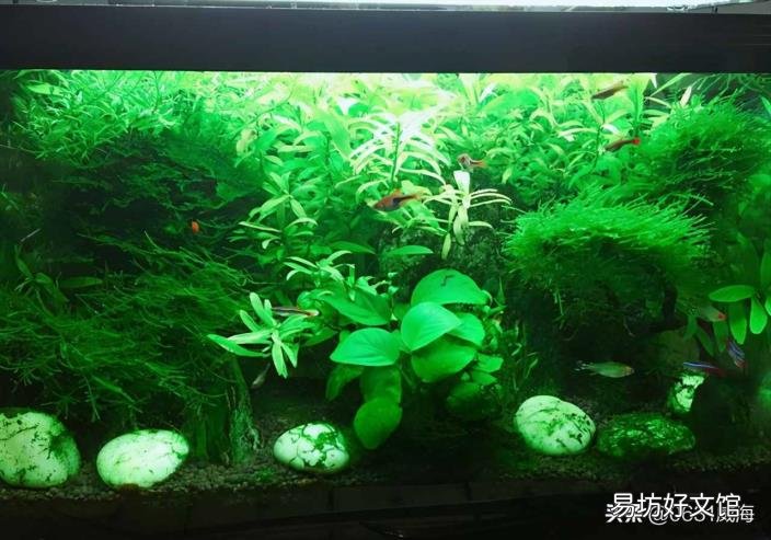 软水树脂多少钱一吨 软水树脂